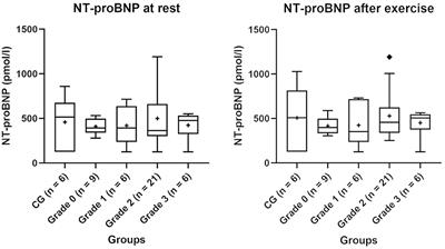 Evaluation of blood pressure and NT-proBNP in pugs with and without clinical signs of Brachycephalic Obstructive Airway Syndrome